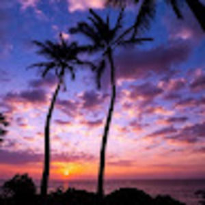 Meet your Posher, Ella